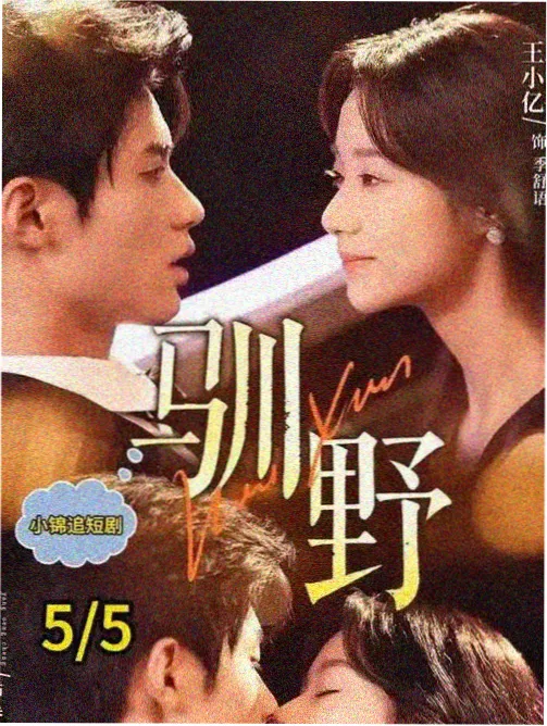电视剧下载推荐：旧城调查员海报